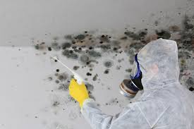 Forensic Mold Investigation in Bloomingdale, NJ